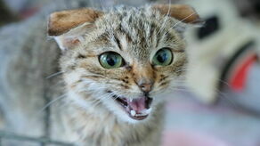 Zdjęcie ilustracyjne