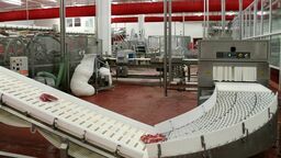 Zakłady mięsne w Końskowoli od dwóch lat pozostawały nieczynne. Dzięki sądowego postępowaniu sanacyjnemu zarząd nad nimi objął prokurent, któremu udało się doprowadzić do wznowienia produkcji