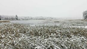 Stawy Echo w Zwierzyńcu