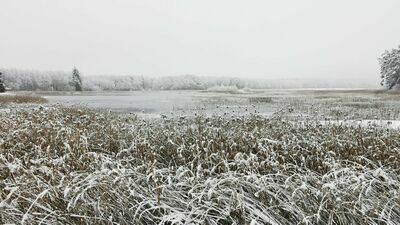 Stawy Echo w Zwierzyńcu