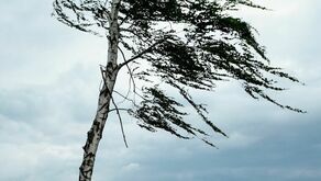 We wtorek w Lubelskiem ma silnie wiać