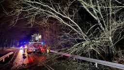 Strażacy podczas nocnej interwencji na drodze w skutek silnego wiatru.
