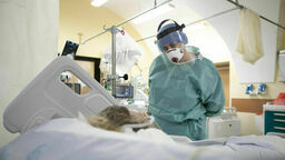 Zdjęcie ilustracyjne