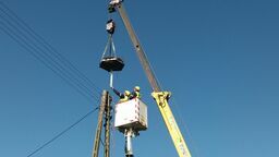 Niedługo bociany wrócą na Lubelszczyznę z ciepłych krajów. Ludzie pomagają im z gniazdami