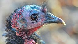 Zdjęcie ilustracyjne