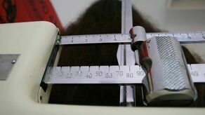 Szokujące dane. Co trzeci uczeń w Lublinie ma nadwagę