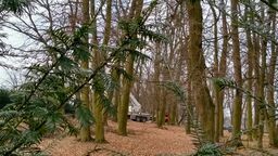 Mieszkańcy: W parku wycinają drzewa! Konserwator: tu było pozwolenie