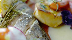 Dania z ryb. Liny w śmietanie czy węgorz w ziołowym sosie [PRZEPISY]