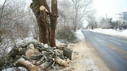 Wielkie rżnięcie w Lublinie i Ratusza „gra w zielone”