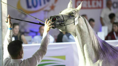 To śledztwo trwa już od 2016 roku. Prokuratura przedłuża je kolejny raz