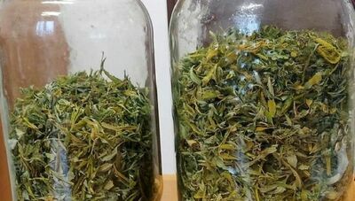 To nie były konfitury ani liście laurowe. W szafie czekała na policjantów niespodzianka