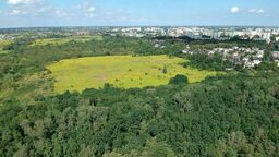 Sąd o górkach czechowskich: Miasto naruszyło zasady