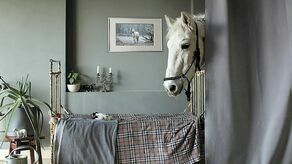 Zaczęło się od ubrań dla lalek, a dziś koń zagląda do salonu