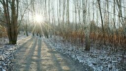 Zdjęcie ilustracyjne