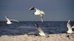 Zdjęcie ilustracyjne