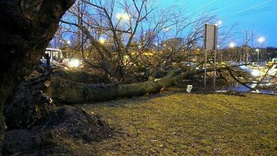 Zdjęcie ilustracyjne