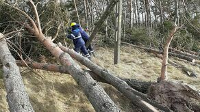 Zdjęcie ilustracyjne