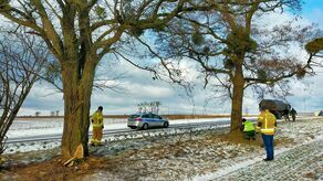 Wycinka drzew prowadzona przez Drewno-Monter Rekonstrukcja na trasie 816 w styczniu 2022