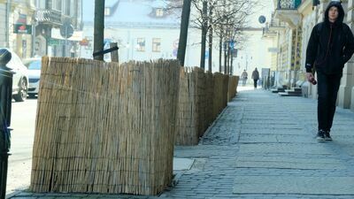 Kilkanaście lat temu na Kołłątaja w Lublinie rosło jedenaście dorodnych drzew. W 2006 zostają wycięte, bo Urząd Miasta uznaje, że stanowią „kolizyjny element przestrzenno-kompozycyjny wnętrza urbanistyczno-architektonicznego ul. Kołłątaja blokując powiązania widokowe”. Od tego czasu miasto kilka razy wymienia tu sadzonki, słono płaci też za za zimowe osłony "przed solą i błotem"