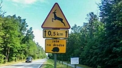 Biała Podlaska: Te tabliczki już były, później zniknęły. O jeże upomina się stowarzyszenie 