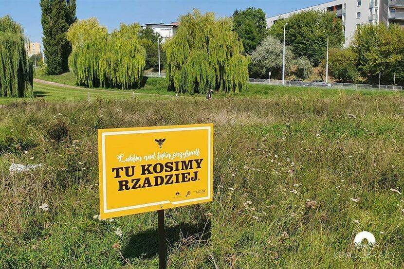 W ramach projektu „Lublin nad łąką przysiadł” pojawiły się m.in. tabliczki