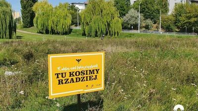 W ramach projektu „Lublin nad łąką przysiadł” pojawiły się m.in. tabliczki