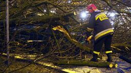 Zdjęcie ilustracyjne