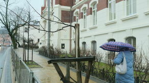 Złamane drzewo na ul. Bernardyńskiej zostanie wymienione do końca marca – zapewnia biuro prasowe urzędu miasta.