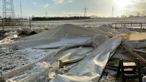 Lublin. Dewastacja stajni. Szukają świadków