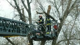 Lubelskie: Brak prądu, połamane drzewa i zniszczone budynki. Skutki wichury w regionie [zdjęcia, wideo]