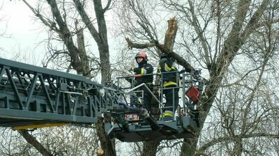 Lubelskie: Brak prądu, połamane drzewa i zniszczone budynki. Skutki wichury w regionie [zdjęcia, wideo]