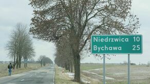 Przy drodze Bełżyce-Niedrzwica Duża ma być wycięte wszystko co rośnie