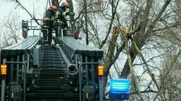 Strażacy interweniowali wczoraj m.in. w Lublinie. 