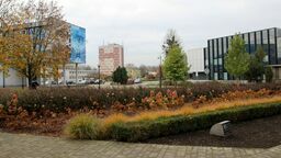 Nowe lampy LED mają pojawić się na ulicach, placach, skwerach i parkingach. Jeśli miasto otrzyma dotację i wymieni oświetlenie, koszty energii spadną o połowę