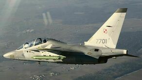 Samolot M346 "Bielik" to szkolno-bojowy odrzutowiec, który w Dęblinie zastąpił wysłużoną "Iskrę". Piloci takich maszyn po szkoleniu przesiądą się na F16, a część z nich w przyszłości usiądzie ze sterami myśliwca F35