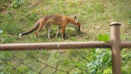 Zdjęcie ilustracyjne