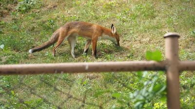 Zdjęcie ilustracyjne