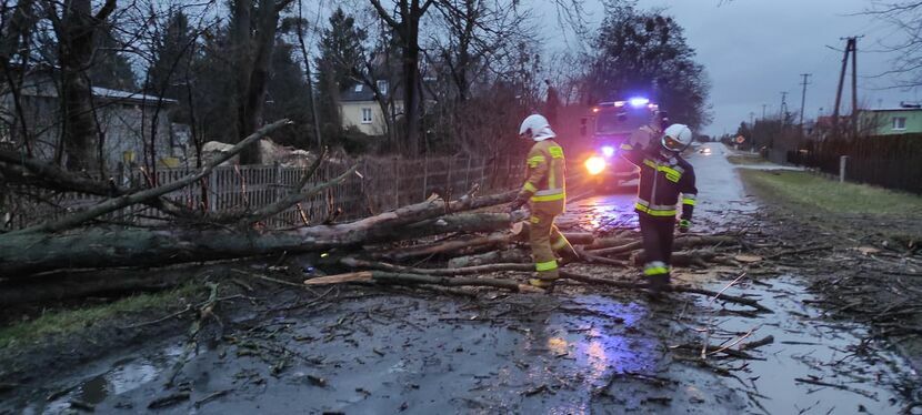 Usuwanie skutków silnego wiatru na ul. Wojska Polskiego w Kurowie. W akcji biorą udział strażacy miejscowego OSP