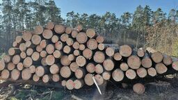 Wycinka w kraśnickim lesie. Mieszkańcy rozczarowani po spotkaniu