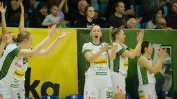 Odrabiają ligowe zaległości. Pszczółka Polski Cukier podejmie poznańską Politechnikę