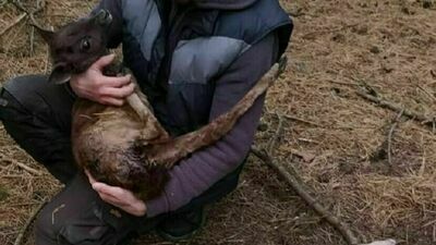 Arch. prywatne M.Kozakiewicz