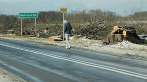 Wycinka obejmuje drzewa w Sadurkach, Bochotnicy-Kolonia, Strzelcach i Piotrowicach. Plan wyrębu obejmuje drzewa rosnące „kolizyjnie w stosunku do projektowanej budowy drogi”. 
Kamil Jakubowski, rzecznik ZDW: Drzewo przez wykonawcę zostanie dostarczone do Rejonu Dróg Wojewódzkich w Puławach. Następnie zostanie przygotowana jego wycena, którą zajmie się Nadleśnictwo. Kolejny krok to ogłoszenie przez RDW Puławy przetargu na zakup drzewa. 