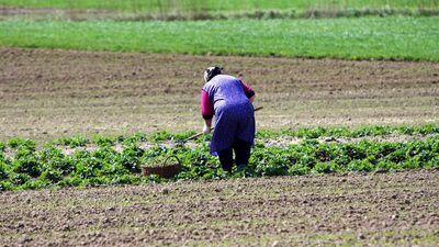 Specjaliści nie mają żadnych wątpliwości, że „ceny żywności będą bardzo wysokie”