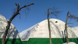 Lublin: Okaleczono sześć miejskich drzew. Będą konsekwencje?