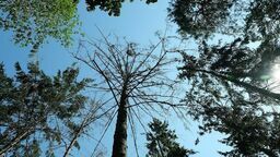 Zdjęcie ilustracyjne