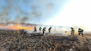 Niedzielny wyjazd strażaków do pożaru suchych traw w miejscowości Dębczyna.