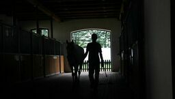 Stadnina w Janowie Podlaskim da pracę i mieszkania Ukraińcom