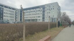 Lublin: Znowu jest problem z drzewami. "Drzewo da się jeszcze uratować"