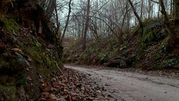 W jednym z wąwozów prowadzących do Skowieszyna policjanci odnaleźli ślady roweru zaginionego, które naprowadziły ekipę poszukiwawczą na właściwy trop