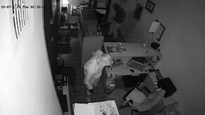 Nocne nagranie z kantoru. Na filmie dwaj mężczyźni